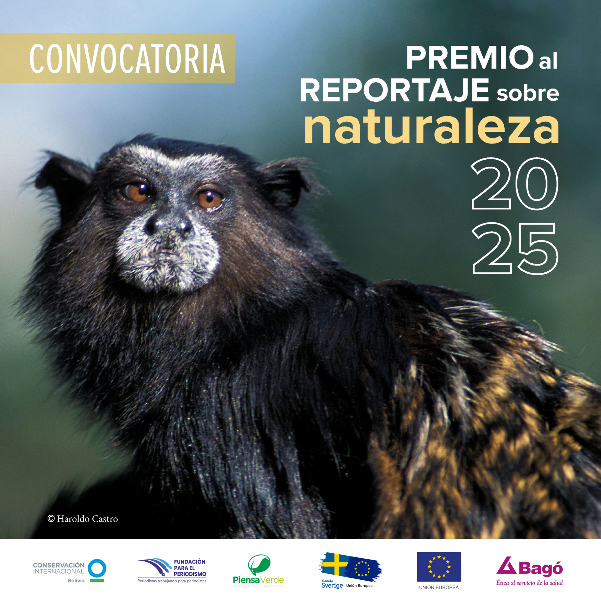 Biodiversidad post general