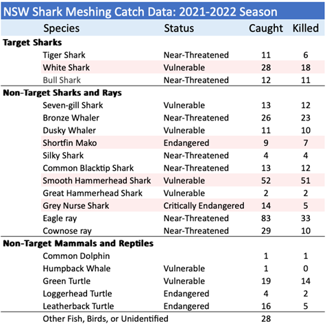 (https://www.sharksmart.nsw.gov.au/__data/assets/pdf_file/0008/1417139/Shark-Meshing-Bather-Protection-Program-2021-22-Annual-Performance-Report.pdf)