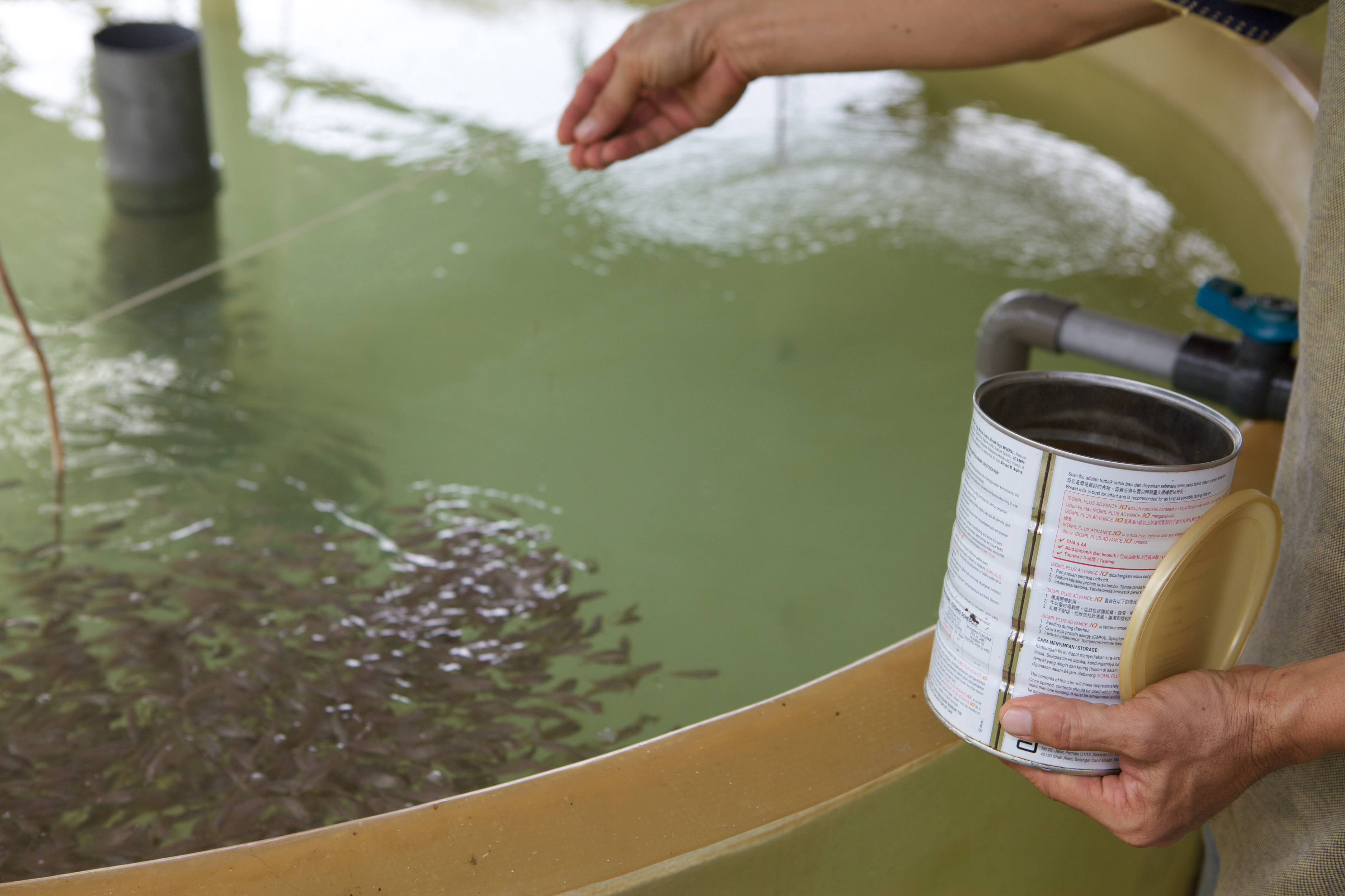 Aquaculture feed Seadling product, Pet supplements