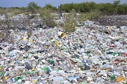 Piles of trash accumulate around a mangrove forest on the north coast of Ile de La Gonave, Haiti.