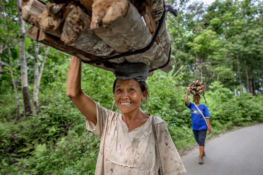 ci_19849545 Women in Aek Banir village near Batang Gadis National Park, Mandailing Natal, North Sumatra, carry home firewood.