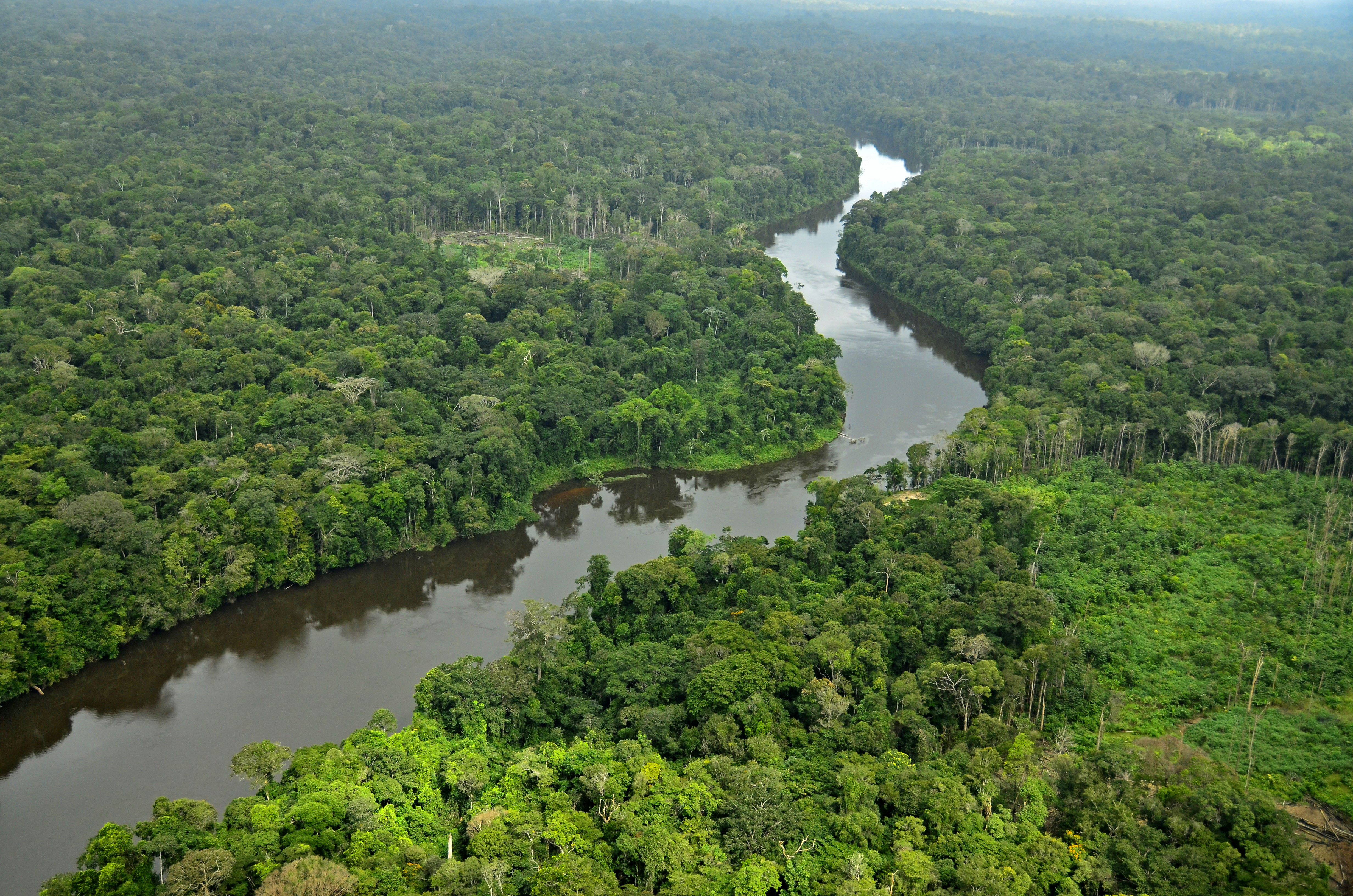 South Suriname South Suriname