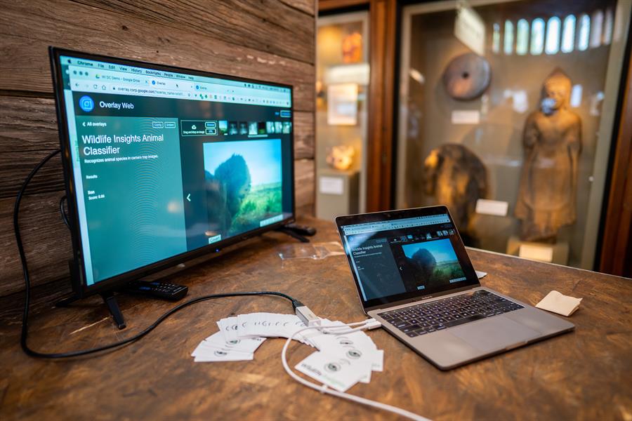 Wildlife Insights is a new wildlife monitoring platform that will harness the best in artificial intelligence, conservation technology and science-based tools to help conserve wildlife.