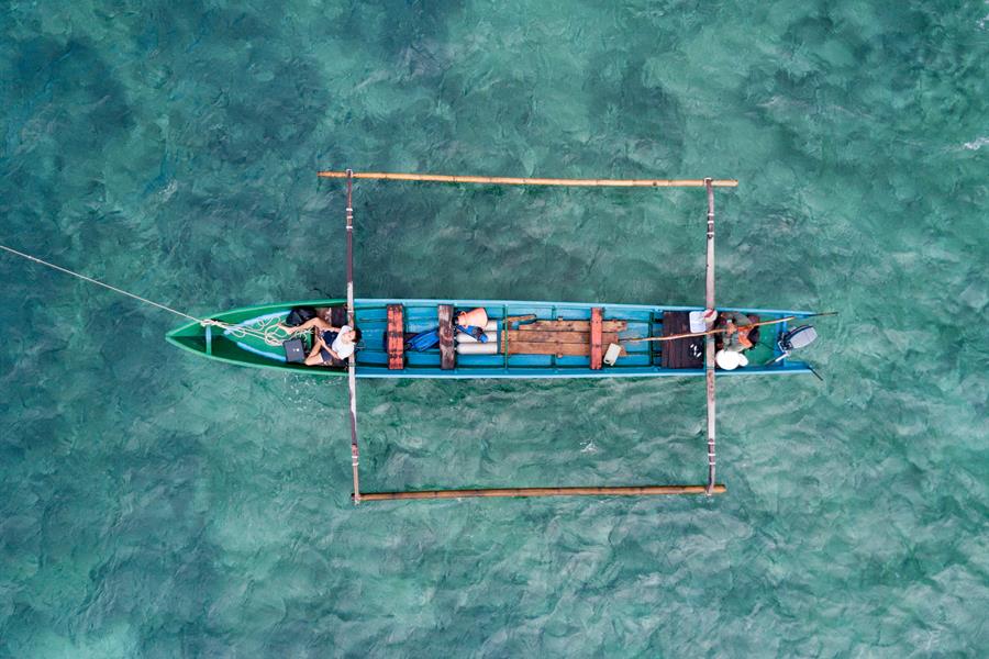 ci_25397937 Atauro Island Seagrass Mapping 2018