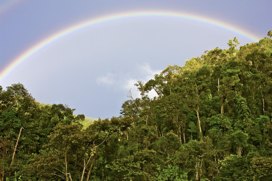 A rainbow in Madagascar