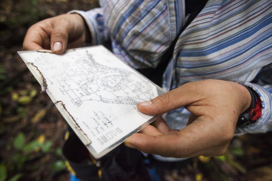 ci_30837978 A researcher checks a map of Cocha Cashu plots