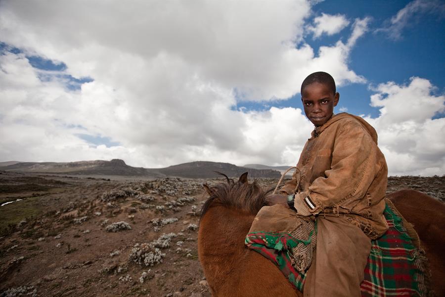 A local boy travels across the Sanetti Plateau, in the Bale Mountains of Ethiopia, on horseback. A local boy travels across the Sanetti Plateau, in the Bale Mountains of Ethiopia, on horseback.
