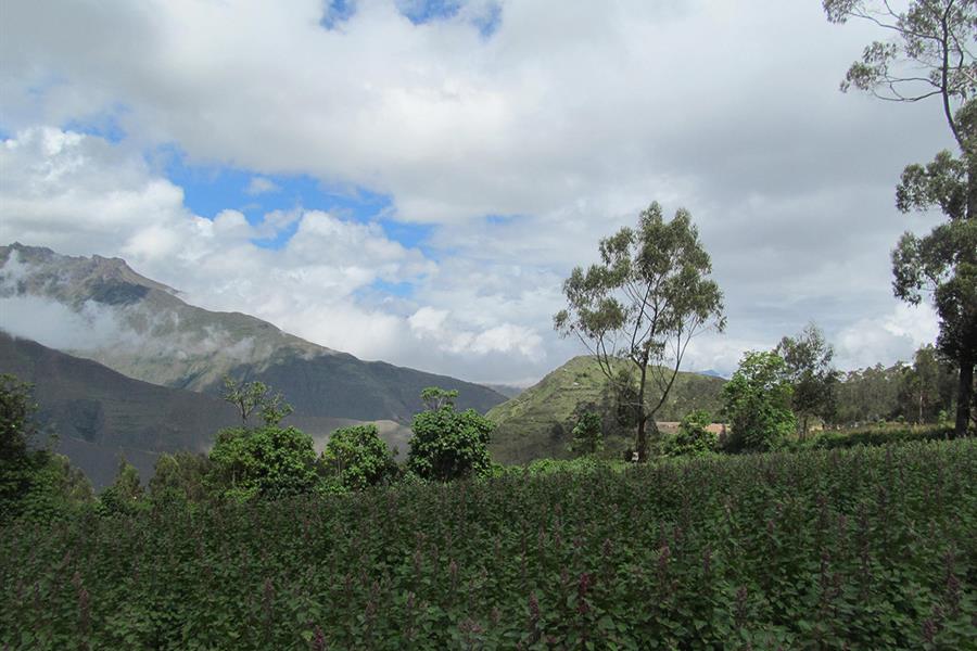 Alto Huayabamba Conservation Concession (Peru) Alto Huayabamba Conservation Concession (Peru)