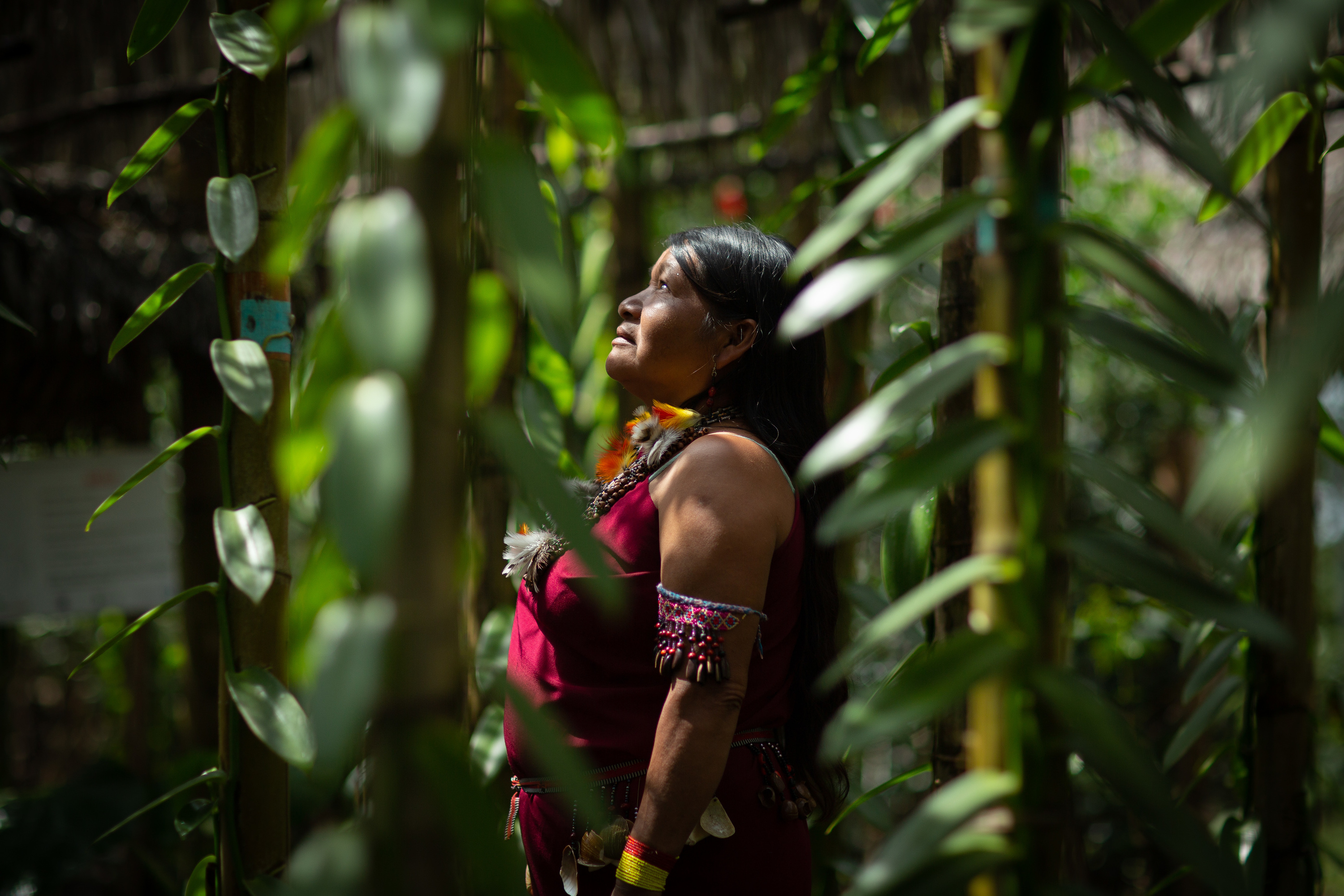 ci_42724007 A woman in the forest in Shampuyacu, Alto Mayo, Peru