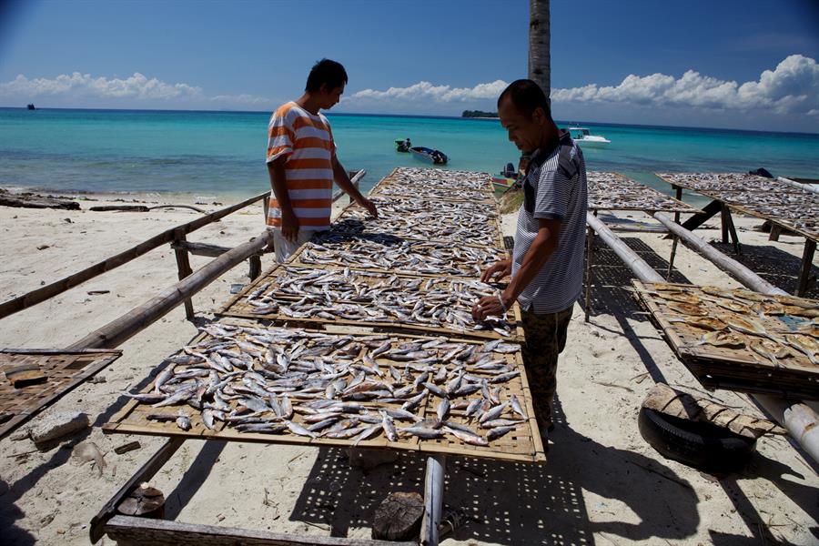 Men gathering fish on the beach Men gathering fish on the beach