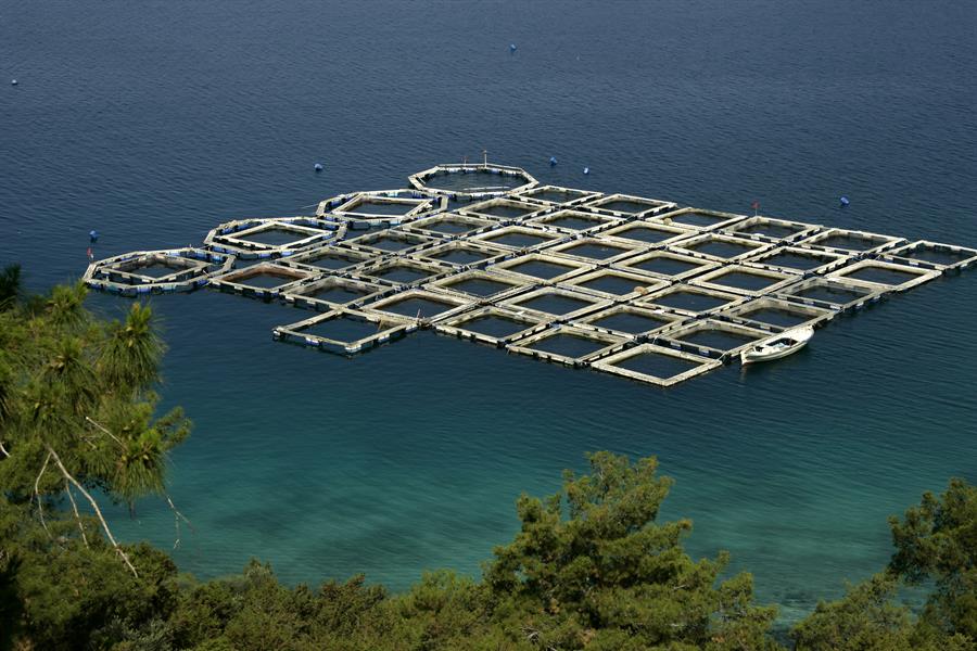 ci_47107385 Elevated view of fish farm in Bodrum, Turkey