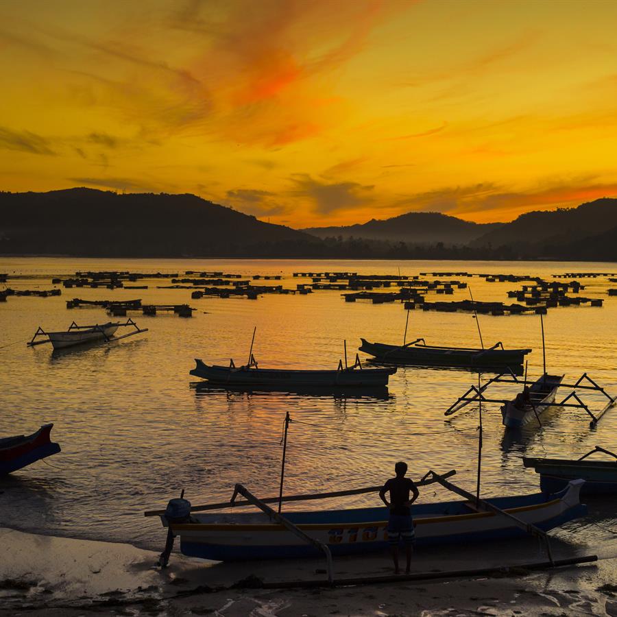 Sunrise at coastline of Lombok island, Indonesia. Sunrise at coastline of Lombok island, Indonesia.