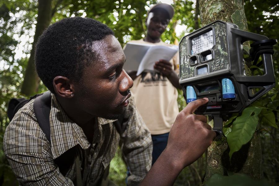 ci_55813544 Researchers set up a camera trap in Kenya.