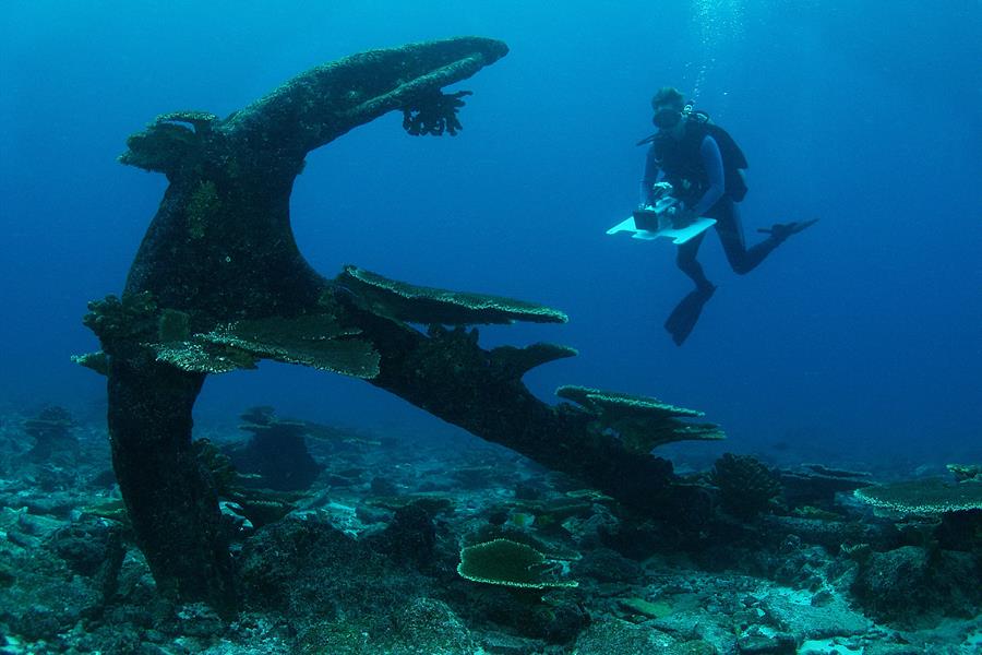 ci_64845190 A diver views the wreckage of an old anchor in the waters of the Phoenix Islands Protected Area.