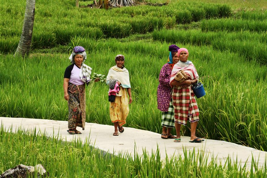 ci_65401724 Women in Sumatra.