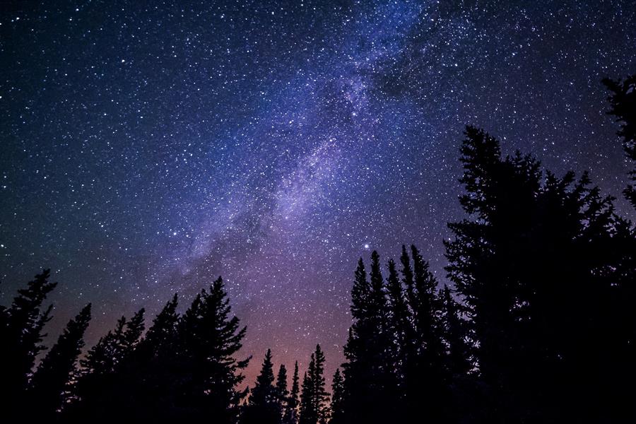 ci_66951987 Night sky with stars and tree tops.