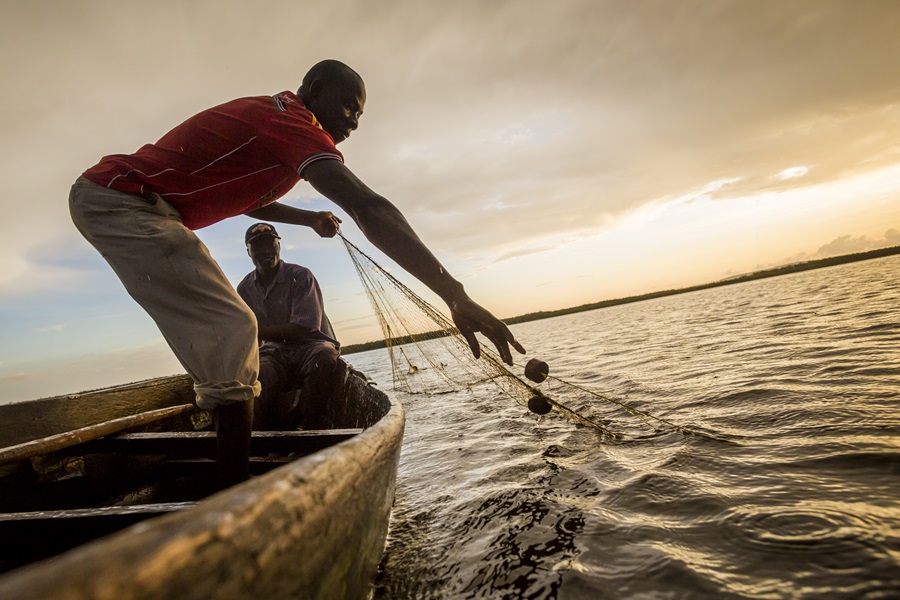 ci_71898999 Denis Ouma and Benson Ohiambo fish with a gillnet in Lake Kanya Boli in the Yala Swamp.