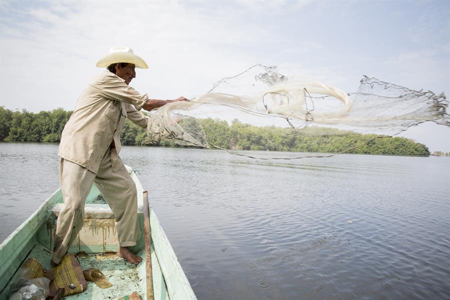 ci_74650149 Fishing in Chiapas, Mexico.
