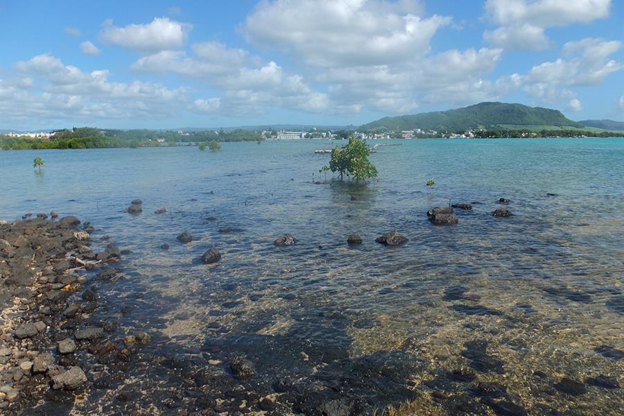 Mariculture in Mahébourg (Mauritius) Mariculture in Mahébourg (Mauritius)