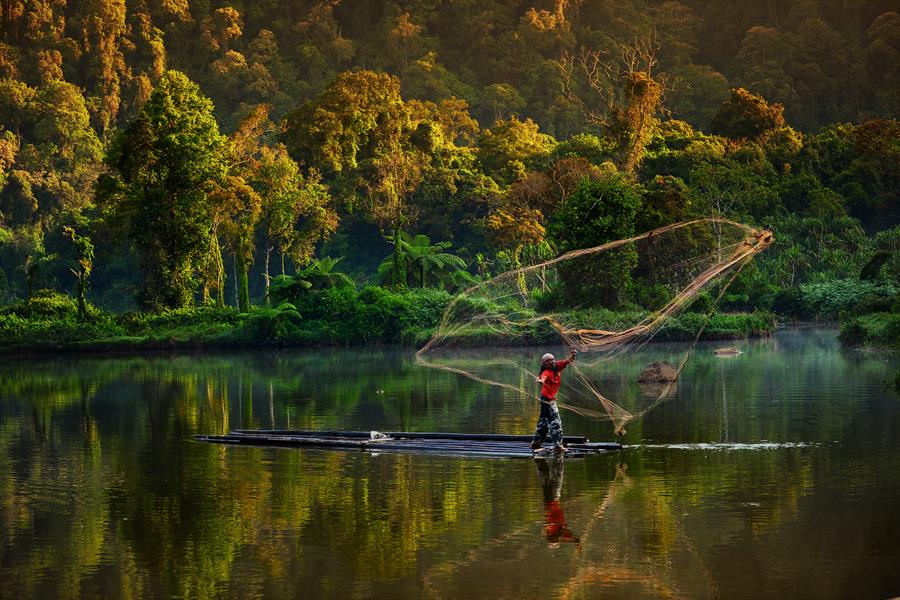A man in West Java, Indonesia fishing in the lake using a traditional net. A man in West Java, Indonesia fishing in the lake using a traditional net.