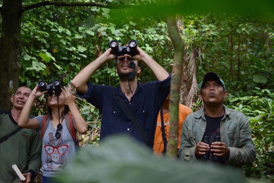 ci_89102026 Ecotourism activities initiated by the Sampiri Information Center group invite tourists to explore the forest while studying and staying in the forest.