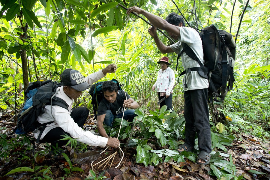 ci_91290341 Patrol teams conduct checks on snares.