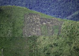 Deforestation 11 Facts You Need To Know Deforestation 11 Facts You Need To Know