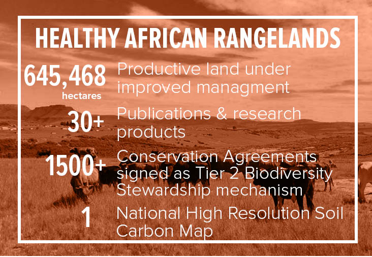 Healthy African Rangelands