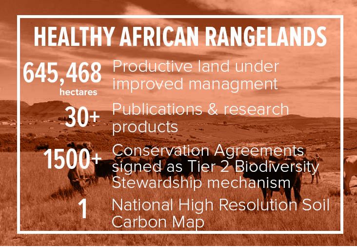 Healthy African Rangelands Healthy African Rangelands