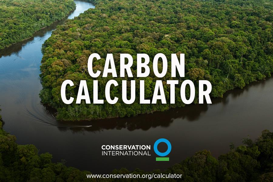 What's your carbon footprint? What's your carbon footprint?