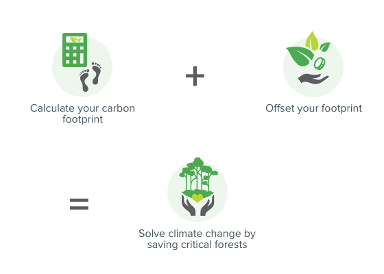 Carbon_Offset_Graphic Carbon offset graphic