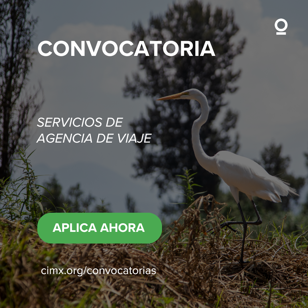 Servicios Agencia de Viajes