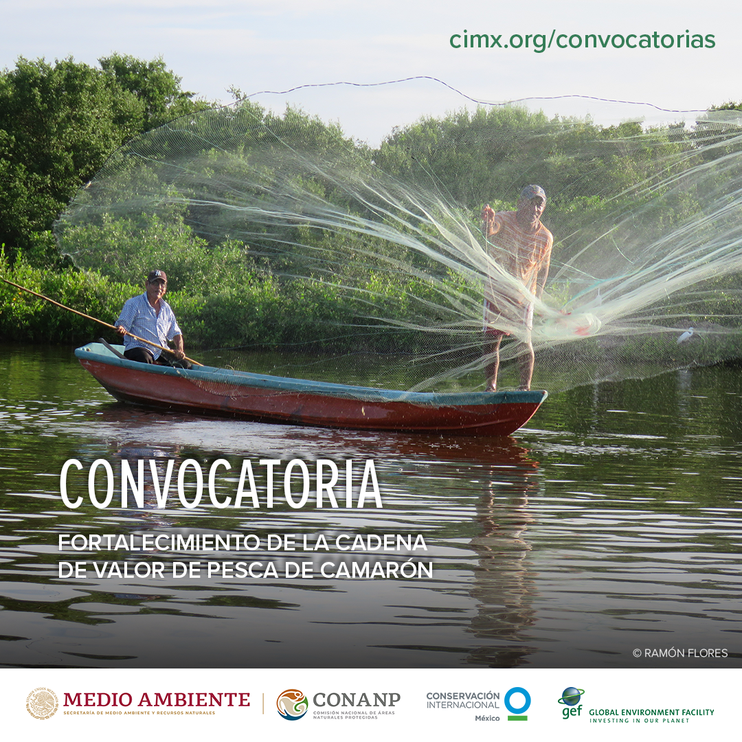convocatoria cadena camaron