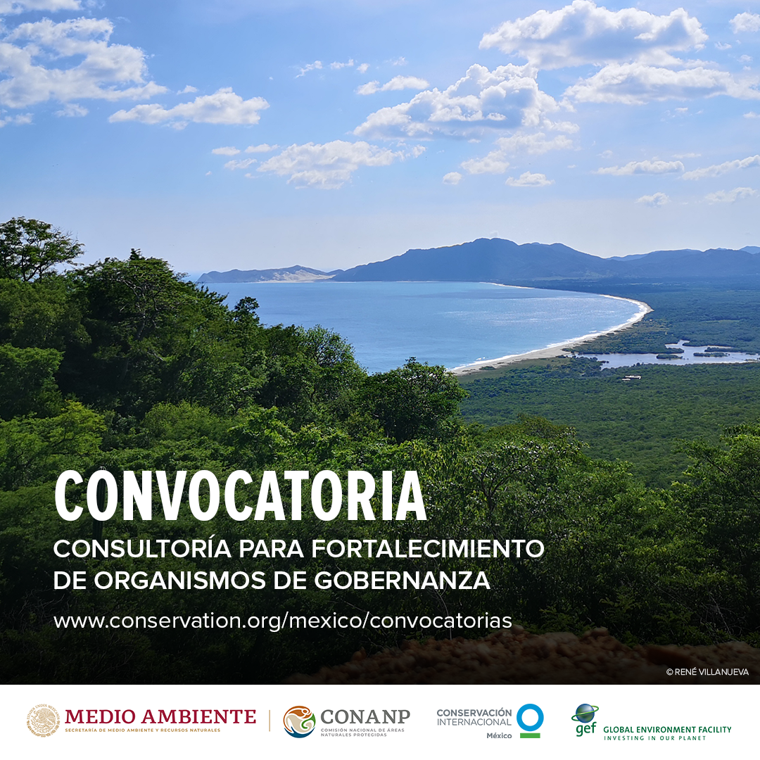 convocatoria-gobernanza3