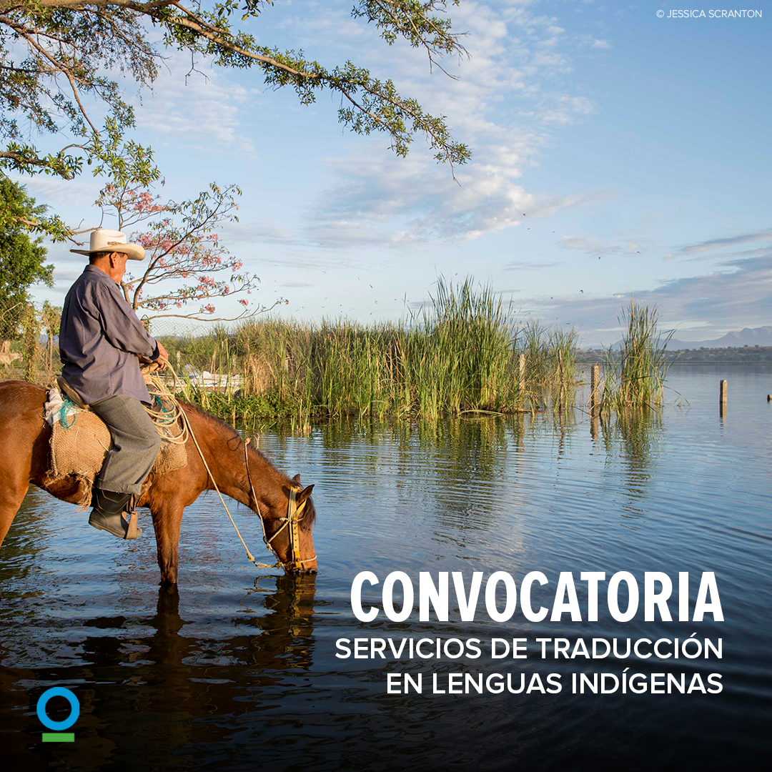 convocatoria lenguas indigenas