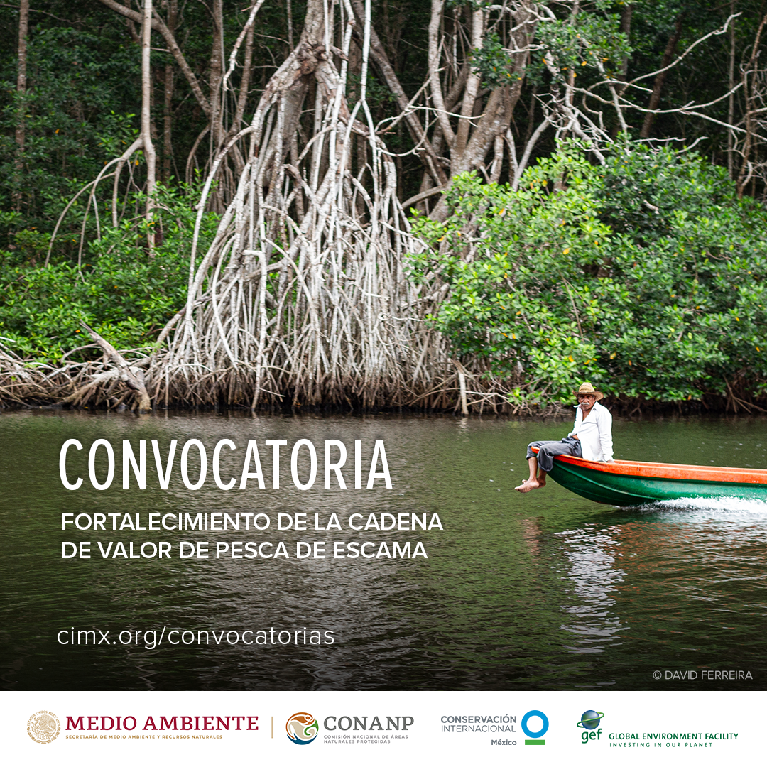 convocatoria-pescado