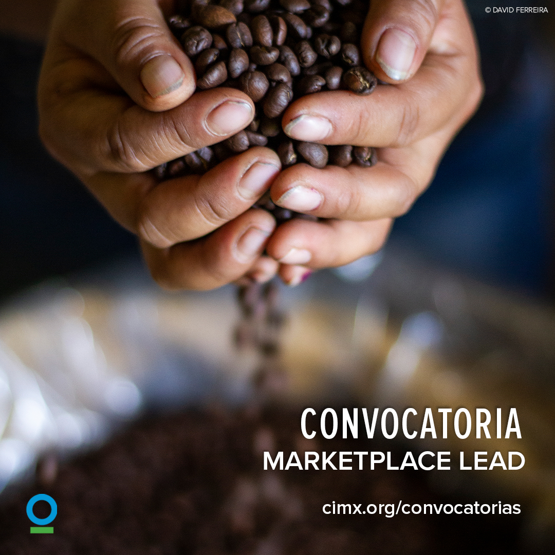 convocatoria SLV Marketplace Lead 3