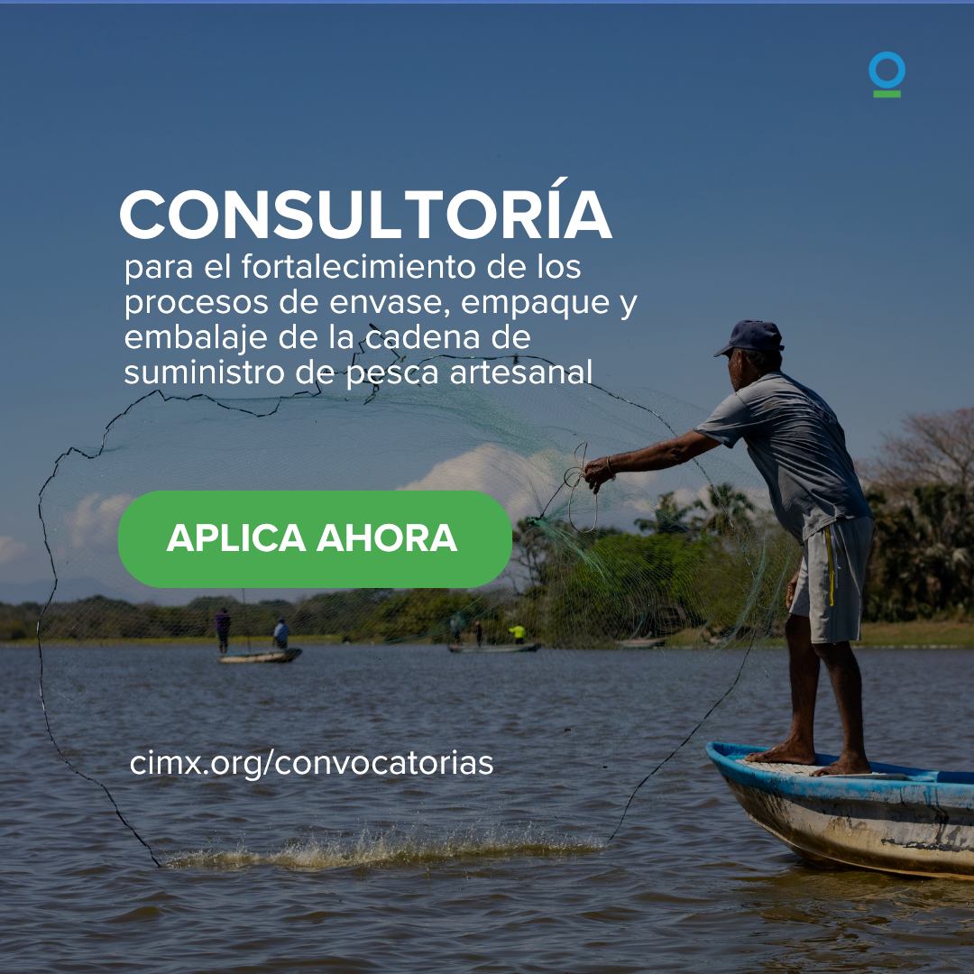 ConsultoríaRecopilaciónInformación