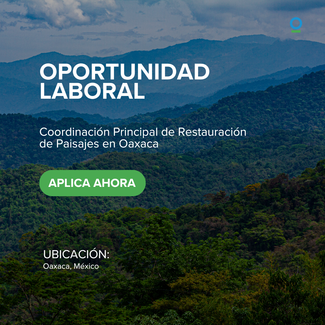 Oportunidad laboral