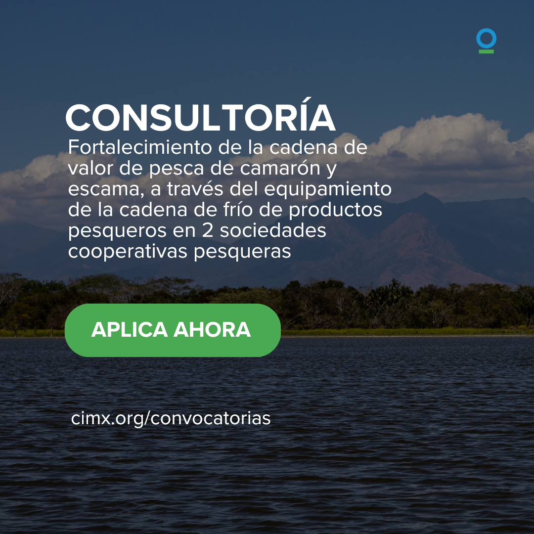 Consultoría cadena frío