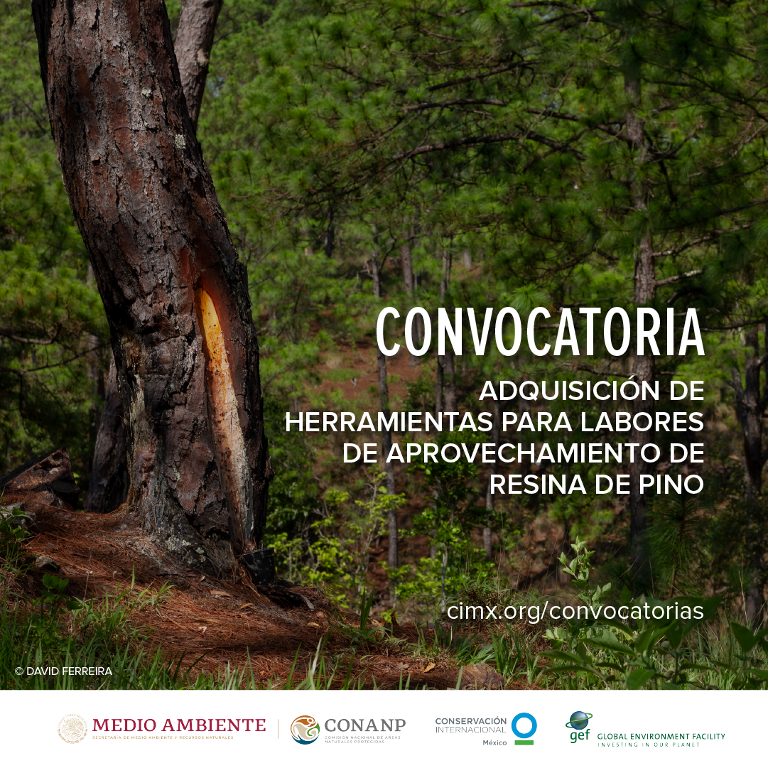 Convocatoria_resina Convocatoria_resina