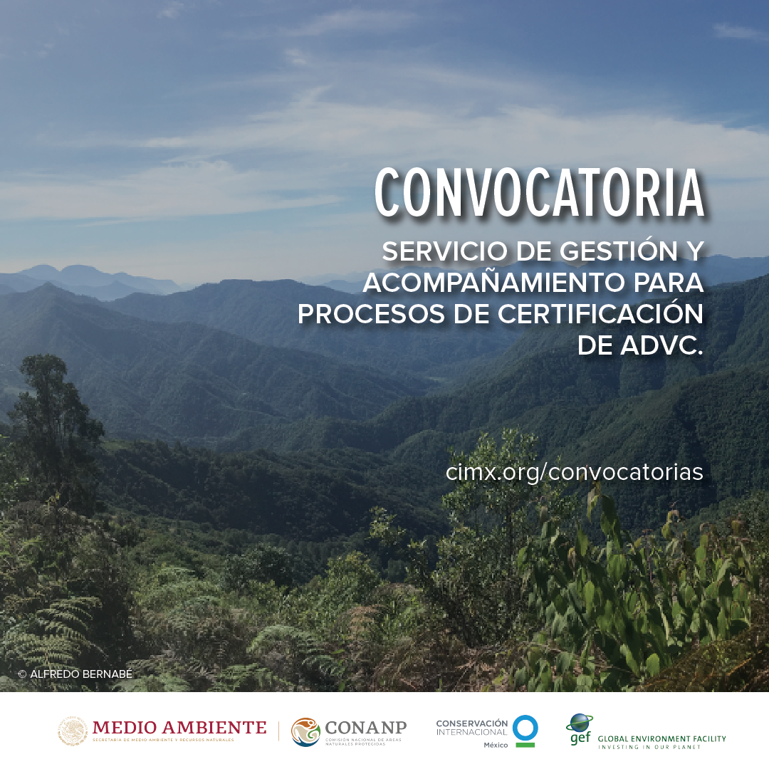 TotBuenasPrácticasPesca convocatoria-ppc-salvaguardas