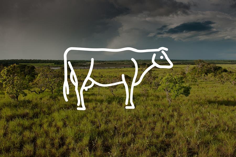 ci_71528352 Green_Living_Tips_Beef