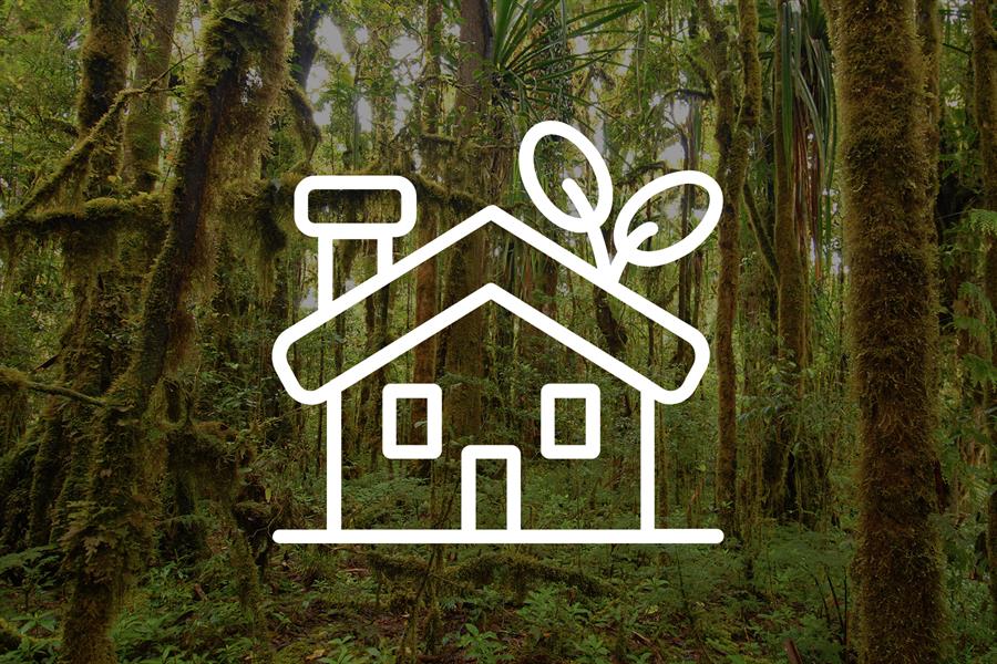 ci_71528352 Green_Living_Tips_Home