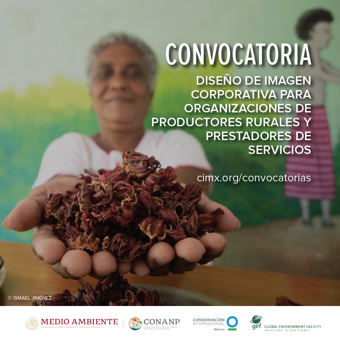 TotBuenasPrácticasPesca convocatoria-ppc-salvaguardas