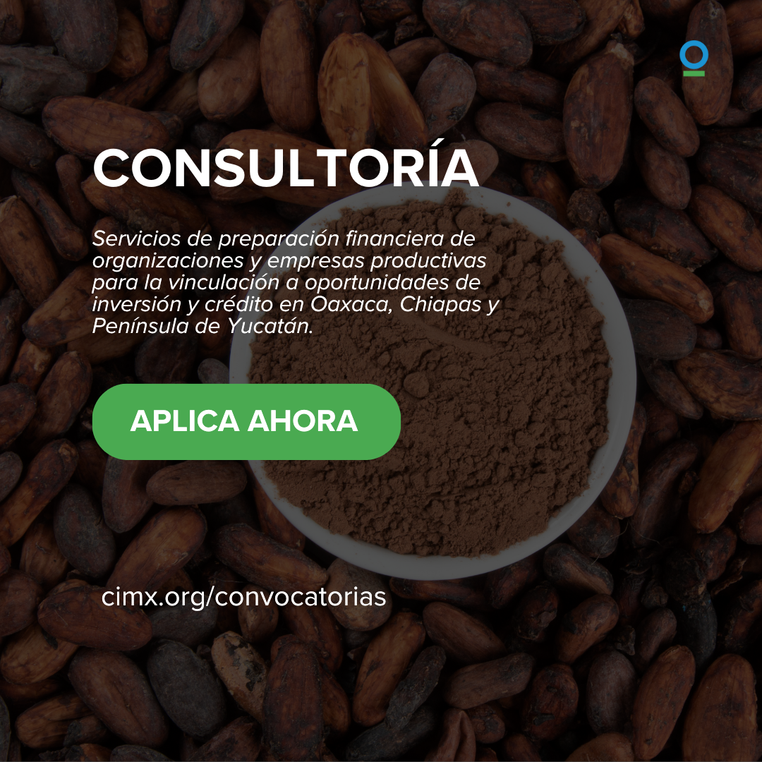 ConsultoríaEmprendimientos