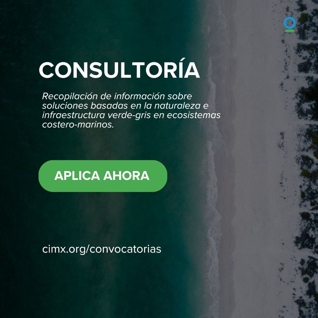 ConsultoríaRecopilaciónInformación