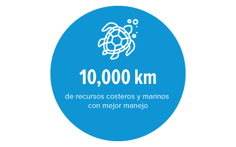 objetivos2