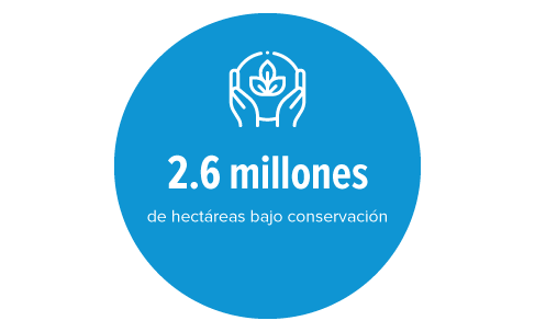 objetivos1