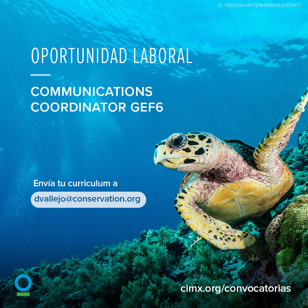 OL-GEF6-Comms Coord